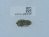  ( - NHMUK015985250)  @11 [ ] Unspecified (default): All Rights Reserved  Unspecified Unspecified