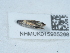  ( - NHMUK015985268)  @11 [ ] Unspecified (default): All Rights Reserved  Unspecified Unspecified