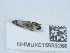  ( - NHMUK015985268)  @11 [ ] Unspecified (default): All Rights Reserved  Unspecified Unspecified