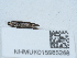  ( - NHMUK015985268)  @11 [ ] Unspecified (default): All Rights Reserved  Unspecified Unspecified