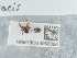  ( - NHMUK015988386)  @11 [ ] Unspecified (default): All Rights Reserved  Unspecified Unspecified