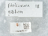  ( - NHMUK015988813)  @11 [ ] Unspecified (default): All Rights Reserved  Unspecified Unspecified