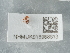  ( - NHMUK015988813)  @11 [ ] Unspecified (default): All Rights Reserved  Unspecified Unspecified
