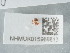  ( - NHMUK015988813)  @11 [ ] Unspecified (default): All Rights Reserved  Unspecified Unspecified