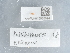  ( - NHMUK015988814)  @11 [ ] Unspecified (default): All Rights Reserved  Unspecified Unspecified