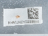  ( - NHMUK015988814)  @11 [ ] Unspecified (default): All Rights Reserved  Unspecified Unspecified