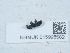  ( - NHMUK015995582)  @11 [ ] Unspecified (default): All Rights Reserved  Unspecified Unspecified