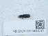  ( - NHMUK015995582)  @11 [ ] Unspecified (default): All Rights Reserved  Unspecified Unspecified