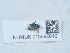  ( - NHMUK015995616)  @11 [ ] Unspecified (default): All Rights Reserved  Unspecified Unspecified