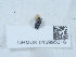  ( - NHMUK015995616)  @11 [ ] Unspecified (default): All Rights Reserved  Unspecified Unspecified