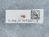  ( - NHMUK015997638)  @11 [ ] Unspecified (default): All Rights Reserved  Unspecified Unspecified