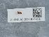  ( - NHMUK015997638)  @11 [ ] Unspecified (default): All Rights Reserved  Unspecified Unspecified