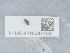  ( - NHMUK015997640)  @11 [ ] Unspecified (default): All Rights Reserved  Unspecified Unspecified