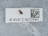  ( - NHMUK015997640)  @11 [ ] Unspecified (default): All Rights Reserved  Unspecified Unspecified