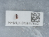  ( - NHMUK015997640)  @11 [ ] Unspecified (default): All Rights Reserved  Unspecified Unspecified