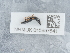  ( - NHMUK015997641)  @11 [ ] Unspecified (default): All Rights Reserved  Unspecified Unspecified