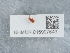  ( - NHMUK015997643)  @11 [ ] Unspecified (default): All Rights Reserved  Unspecified Unspecified
