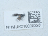  ( - NHMUK016038387)  @11 [ ] Unspecified (default): All Rights Reserved  Unspecified Unspecified