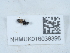  ( - NHMUK016038396)  @11 [ ] Unspecified (default): All Rights Reserved  Unspecified Unspecified
