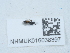  ( - NHMUK016038397)  @11 [ ] Unspecified (default): All Rights Reserved  Unspecified Unspecified