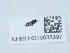  ( - NHMUK016038397)  @11 [ ] Unspecified (default): All Rights Reserved  Unspecified Unspecified
