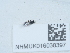  ( - NHMUK016038397)  @11 [ ] Unspecified (default): All Rights Reserved  Unspecified Unspecified