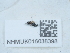  ( - NHMUK016038398)  @11 [ ] Unspecified (default): All Rights Reserved  Unspecified Unspecified