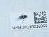  ( - NHMUK016038399)  @11 [ ] Unspecified (default): All Rights Reserved  Unspecified Unspecified