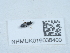 ( - NHMUK016038400)  @11 [ ] Unspecified (default): All Rights Reserved  Unspecified Unspecified