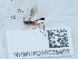  ( - NHMUK016038408)  @11 [ ] Unspecified (default): All Rights Reserved  Unspecified Unspecified