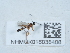  ( - NHMUK016038408)  @11 [ ] Unspecified (default): All Rights Reserved  Unspecified Unspecified