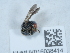  ( - NHMUK016038414)  @11 [ ] Unspecified (default): All Rights Reserved  Unspecified Unspecified