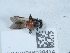  ( - NHMUK016038414)  @11 [ ] Unspecified (default): All Rights Reserved  Unspecified Unspecified