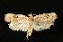  ( - Dun-08-008)  @13 [ ] Unspecified (default): All Rights Reserved  Unspecified Unspecified