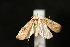  ( - Dun-08-009)  @13 [ ] Unspecified (default): All Rights Reserved  Unspecified Unspecified