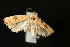  ( - Dun-08-010)  @13 [ ] Unspecified (default): All Rights Reserved  Unspecified Unspecified