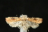 ( - Dun-08-011)  @13 [ ] Unspecified (default): All Rights Reserved  Unspecified Unspecified