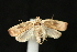  ( - Dun-08-012)  @13 [ ] Unspecified (default): All Rights Reserved  Unspecified Unspecified