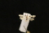  ( - Dun-08-027)  @12 [ ] Unspecified (default): All Rights Reserved  Unspecified Unspecified
