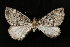  ( - Dun-08-140)  @11 [ ] Unspecified (default): All Rights Reserved  Unspecified Unspecified
