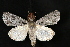  ( - Dun-08-148)  @14 [ ] Unspecified (default): All Rights Reserved  Unspecified Unspecified