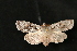  ( - Dun-08-174)  @13 [ ] Unspecified (default): All Rights Reserved  Unspecified Unspecified