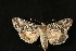  ( - Dun-08-182)  @13 [ ] Unspecified (default): All Rights Reserved  Unspecified Unspecified