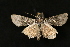  ( - Dun-08-183)  @12 [ ] Unspecified (default): All Rights Reserved  Unspecified Unspecified