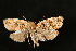  ( - Dun-08-243)  @11 [ ] Unspecified (default): All Rights Reserved  Unspecified Unspecified