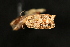  ( - Dun-08-244)  @11 [ ] Unspecified (default): All Rights Reserved  Unspecified Unspecified