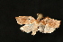 ( - Dun-08-341)  @13 [ ] Unspecified (default): All Rights Reserved  Unspecified Unspecified