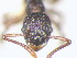  ( - HF2009.011)  @12 [ ] Unspecified (default): All Rights Reserved  Unspecified Unspecified