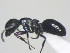  ( - HF2009.014)  @14 [ ] Unspecified (default): All Rights Reserved  Unspecified Unspecified
