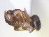  ( - HF2009.004)  @13 [ ] Unspecified (default): All Rights Reserved  Unspecified Unspecified